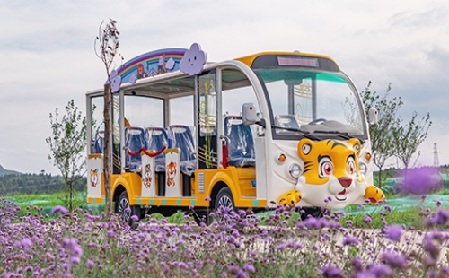 旅游景區(qū)為什么要用燃油觀光車？