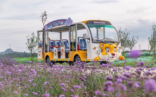 電動觀光車廠家哪個品牌好，電動觀光車市場價格